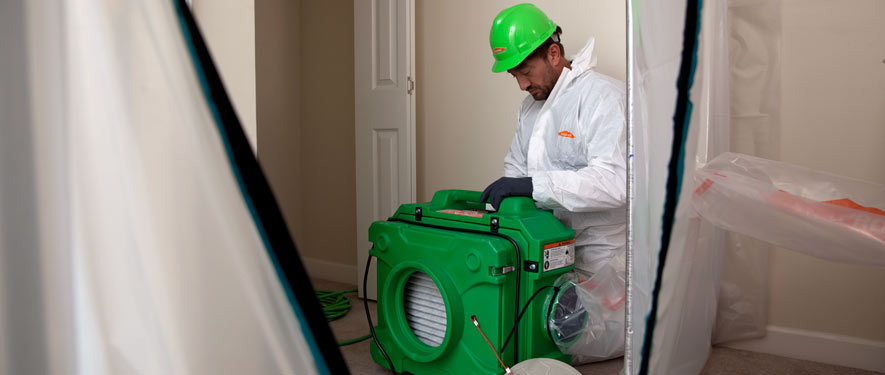 Nampa, ID mold cleanup